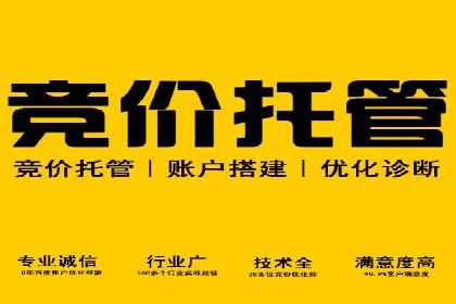 推广竞价策略优化：借鉴成功案例实现精准营销